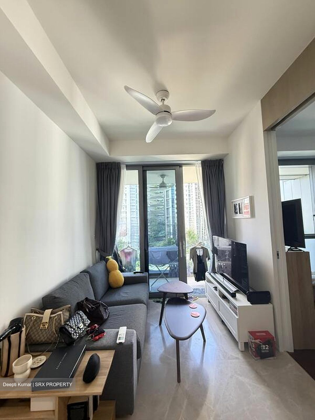 Amber Park (D15), Condominium #496152471